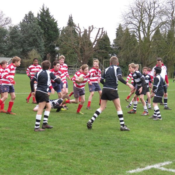 2nds v Horris Hill  (2)
